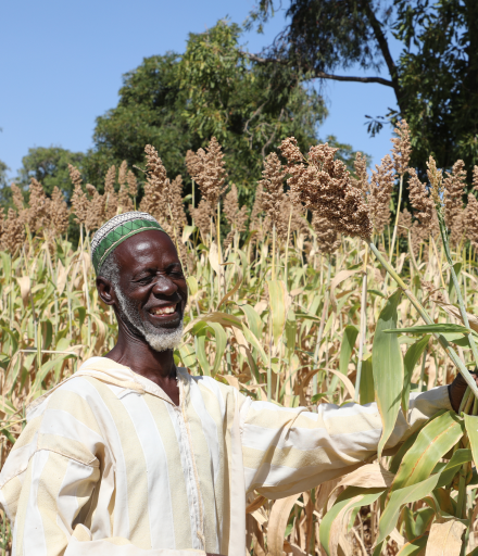 Commodities Transportation