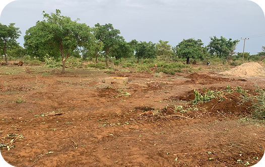 Open reddish farmland with scattered trees under an overcast sky