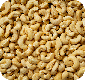 Raw cashew nuts