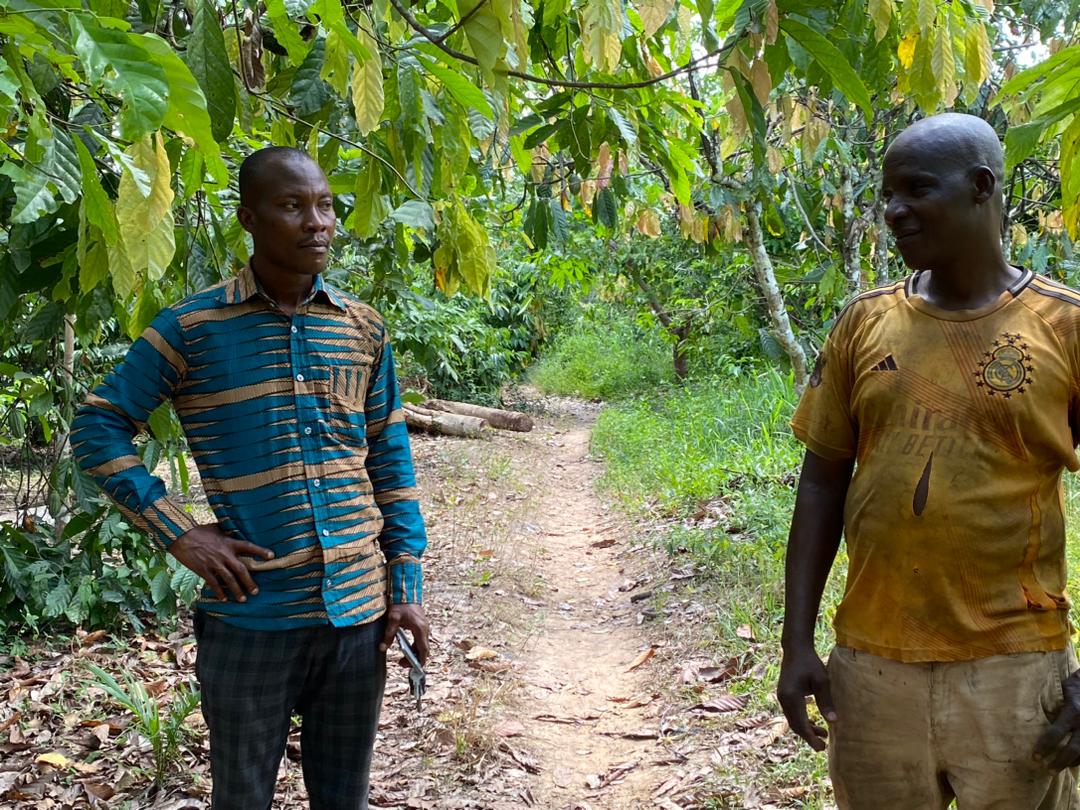 Farmers with a secured market waiting for their harvest