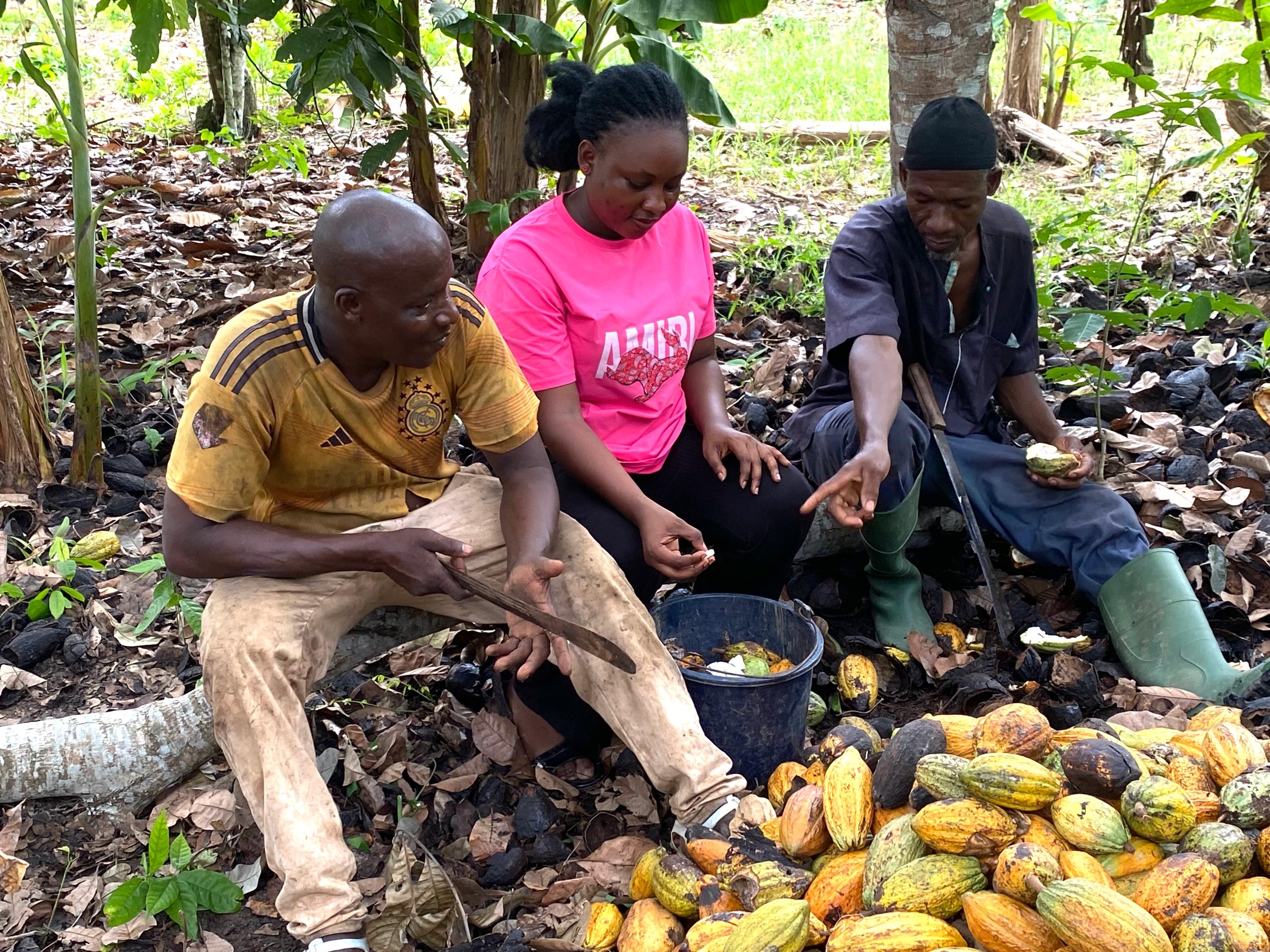 Farmer in the field prepared with the right inputs