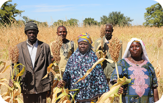 Traders and producers together in a field